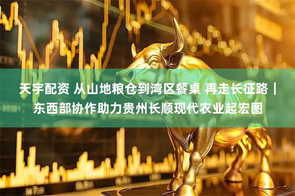 天宇配资 从山地粮仓到湾区餐桌 再走长征路|东西部协作助力贵州长顺现代农业起宏图