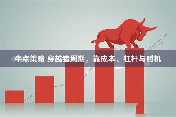 牛点策略 穿越猪周期，靠成本、杠杆与时机