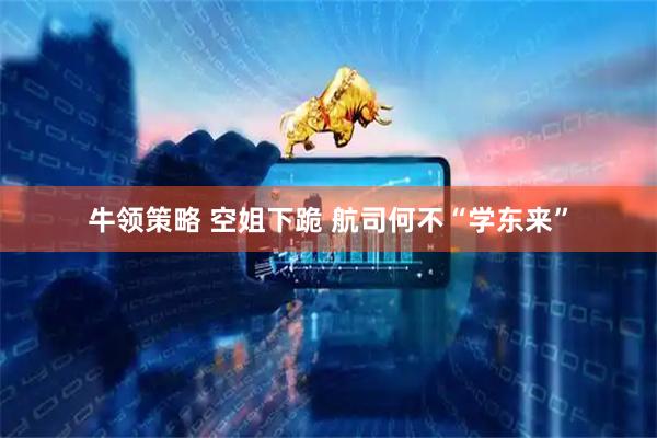 牛领策略 空姐下跪 航司何不“学东来”
