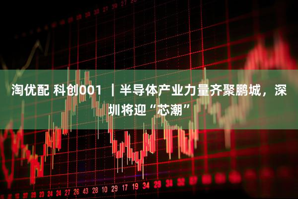 淘优配 科创001 ｜半导体产业力量齐聚鹏城，深圳将迎“芯潮”