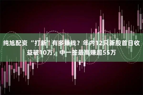 纯旭配资 “打新”有多赚钱？年内12只新股首日收益破10万，中一签最高赚超55万